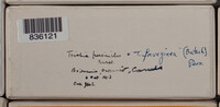 Image Associated With the Occurence